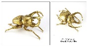 [AC00607] BUG