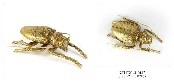 [AC00608] BUG