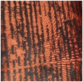 [CU00920] Fire