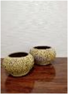 [AC02051] BIR