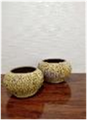 [AC02052] BIR