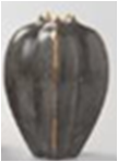 [AC02213] GOURD