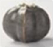 [AC02214] GOURD