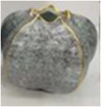 [AC02216] GOURD