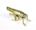 [AC02244] BUG