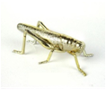 [AC02245] BUG