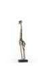 [AC02266] DEER