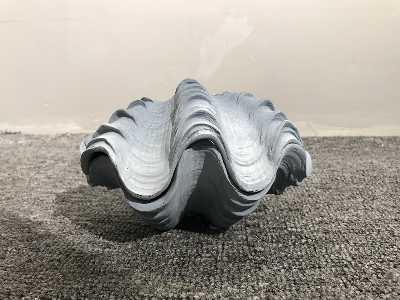 [AC02273] CLAM -SMALL