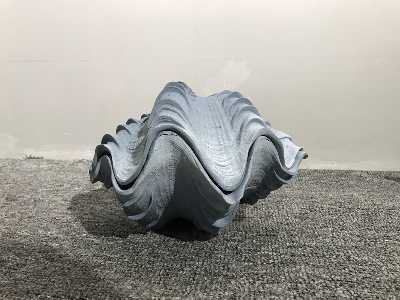 [AC02274] CLAM BIG